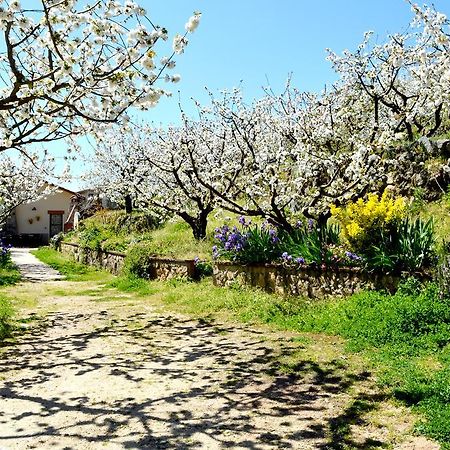 Casa Valeriana Villa Navaconcejo Eksteriør bilde