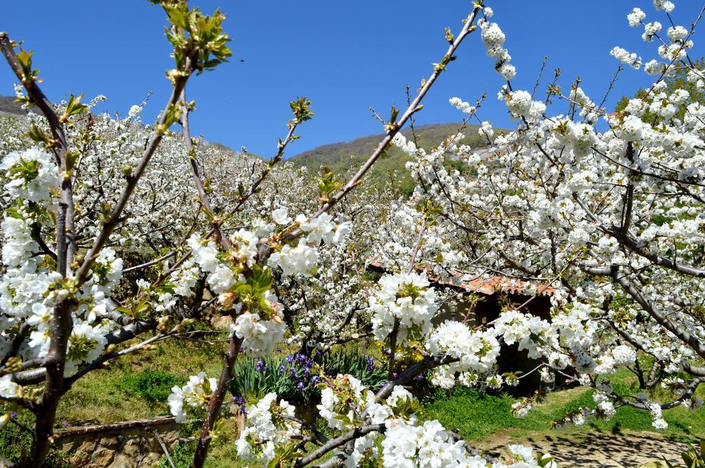 Casa Valeriana Villa Navaconcejo Eksteriør bilde